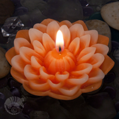 Dahlia Floating Candle by Armadilla Wax Works