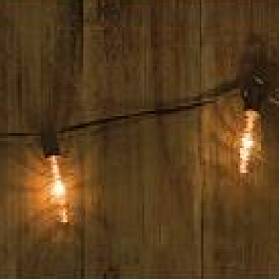 Edison Copper Strand of String Lights