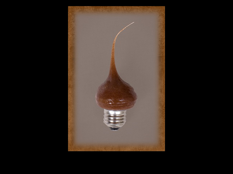 Cinnamon Scented 7.5 Watt Silicone Bulb