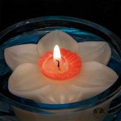 Daffodil Floating Candle by Armadilla Wax Works