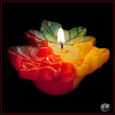 Armadilla Wax Works Fall Leaf Floating Candles
