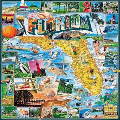 Florida 1000 Piece Puzzle - White Mountain Puzzles