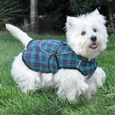 Navy Blue and Turquoise Plaid Alpine Flannel Coat