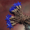 Blue Star Strand of 20 String Lights by Vicky Jeans Creations