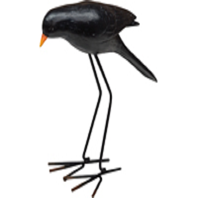 Standing Crow With Metal Feet
