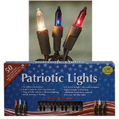 Patriotic Lights ~ 50 Count